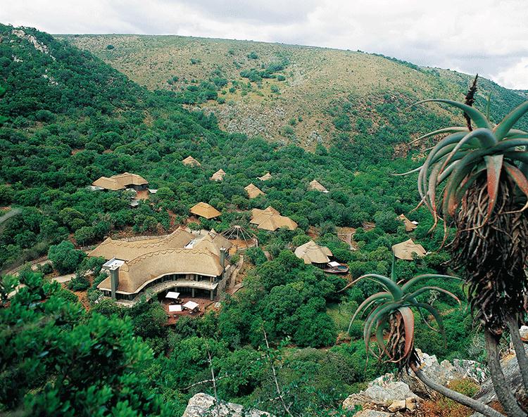 Shamwari Game Reserve Port Elizabeth Exterior foto